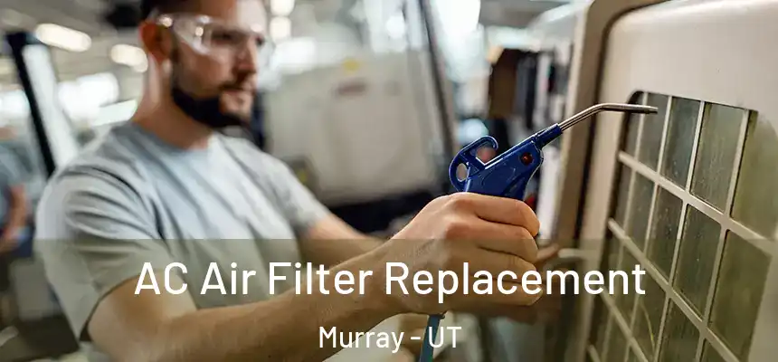  AC Air Filter Replacement Murray - UT