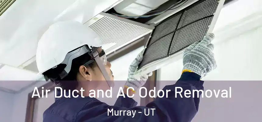  Air Duct and AC Odor Removal Murray - UT