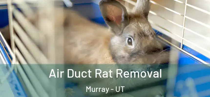  Air Duct Rat Removal Murray - UT