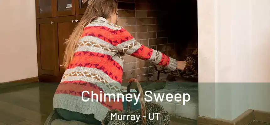  Chimney Sweep Murray - UT