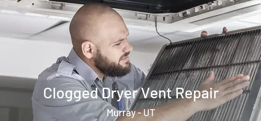  Clogged Dryer Vent Repair Murray - UT