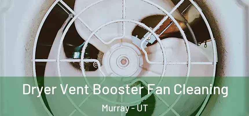  Dryer Vent Booster Fan Cleaning Murray - UT