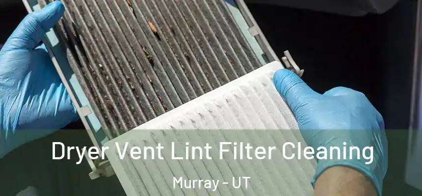  Dryer Vent Lint Filter Cleaning Murray - UT