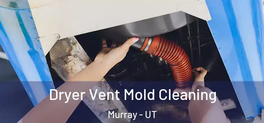 Dryer Vent Mold Cleaning Murray - UT
