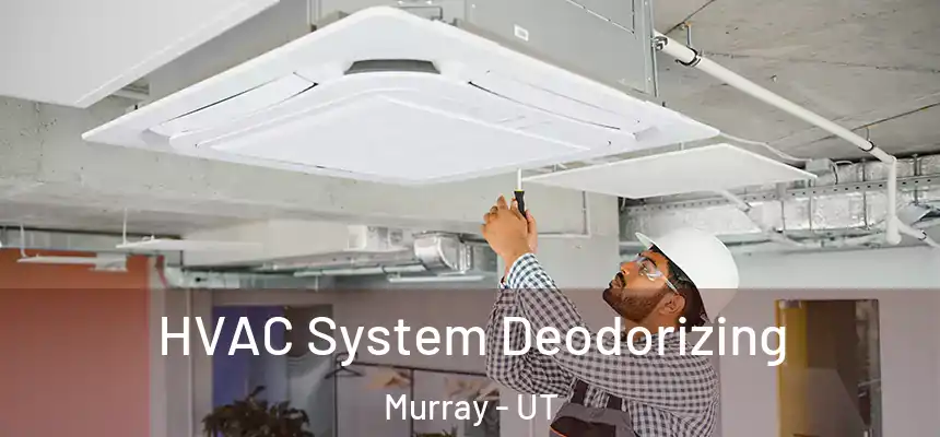  HVAC System Deodorizing Murray - UT
