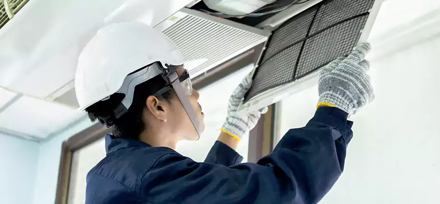 Our Mold & Mildew Removal from Air Ducts Services in Murray, UT