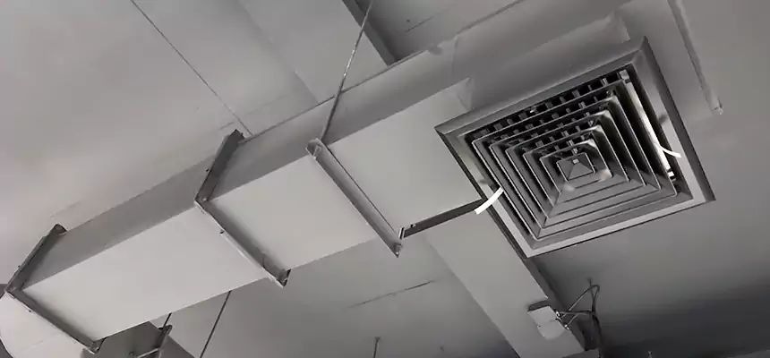 Our Pest Removal From Ducts Services in Murray, UT