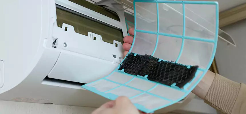 Gentle Ductwork Odor-Control Pet Dander Duct Cleaning in Murray, UT