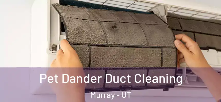 Pet Dander Duct Cleaning Murray - UT