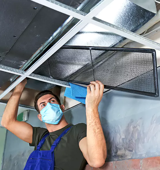 About Air Duct Bacteria Removal in Murray