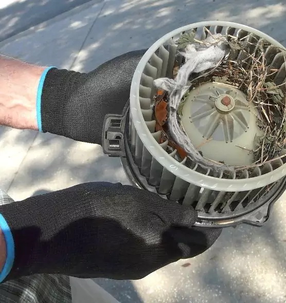 About Air Duct Mice Removal in Murray, UT