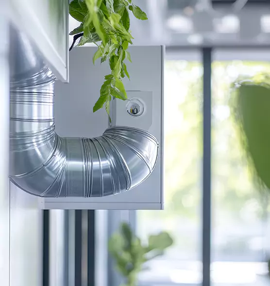 Professional Eco-Friendly Duct Cleaning Services in Murray, UT