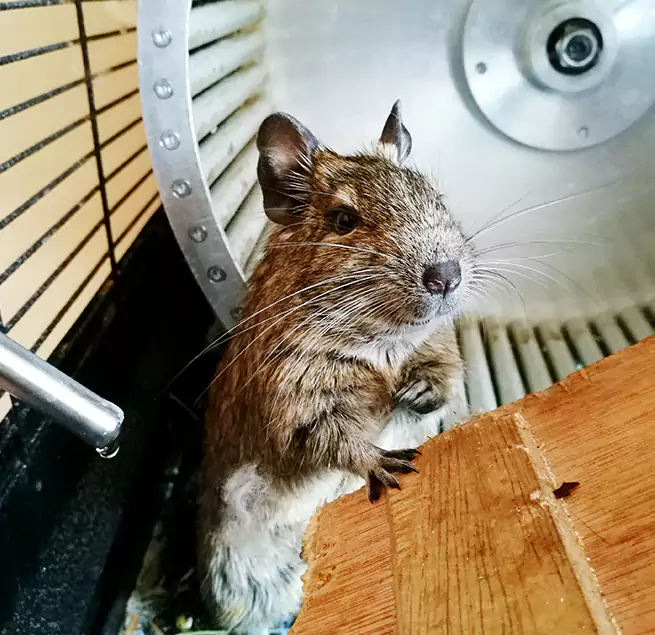 Why Homeowners & Businesses Trust Us Murray, UT